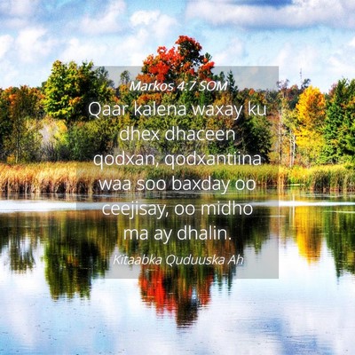 Picture 04 - Markos 4:7 SOM - Qaar kalena waxay ku dhex dhaceen qodxan, - Bible Verse Picture