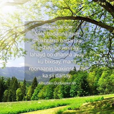 Picture 04 - Markos 5:26 SOM - Silec badanna ayay dhakhtarro badan ka heshay, oo - Bible Verse Picture