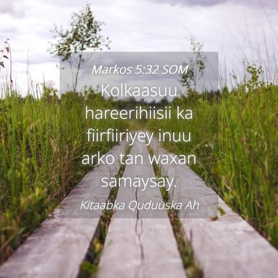 Picture 04 - Markos 5:32 SOM - Kolkaasuu hareerihiisii ka fiirfiiriyey inuu arko - Bible Verse Picture