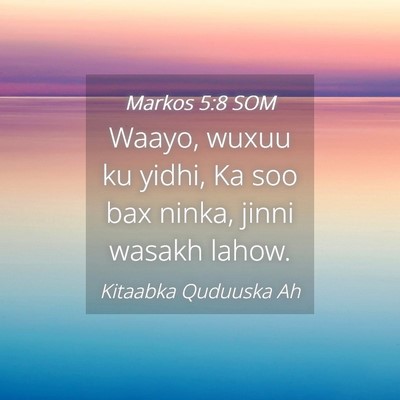 Picture 04 - Markos 5:8 SOM - Waayo, wuxuu ku yidhi, Ka soo bax ninka, jinni - Bible Verse Picture