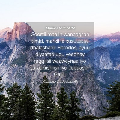 Picture 04 - Markos 6:21 SOM - Goortii maalin wanaagsan timid, markii la - Bible Verse Picture