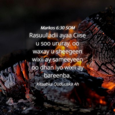 Picture 04 - Markos 6:30 SOM - Rasuulladii ayaa Ciise u soo ururay, oo waxay u - Bible Verse Picture
