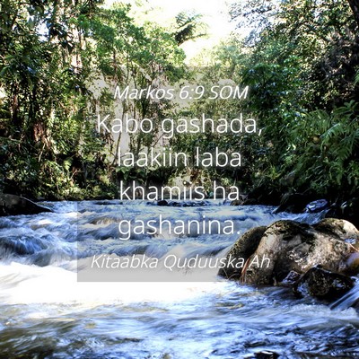 Picture 04 - Markos 6:9 SOM - Kabo gashada, laakiin laba khamiis ha - Bible Verse Picture