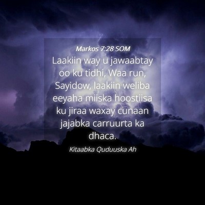 Picture 04 - Markos 7:28 SOM - Laakiin way u jawaabtay oo ku tidhi, Waa run, - Bible Verse Picture