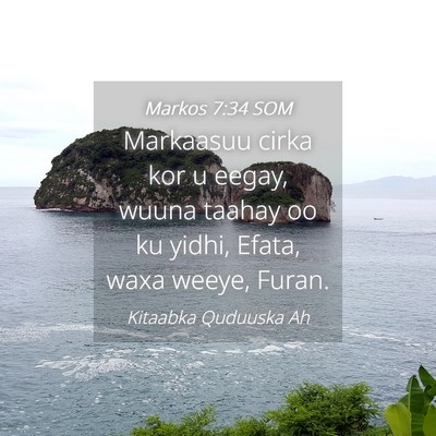 Picture 04 - Markos 7:34 SOM - Markaasuu cirka kor u eegay, wuuna taahay oo ku - Bible Verse Picture