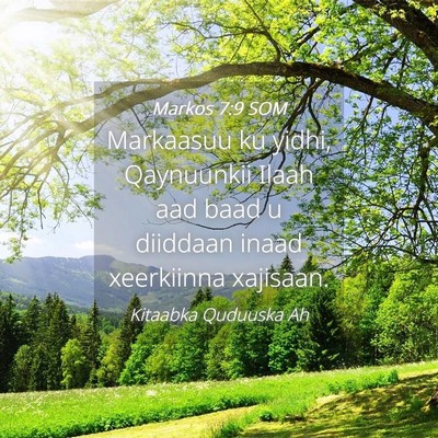 Picture 04 - Markos 7:9 SOM - Markaasuu ku yidhi, Qaynuunkii Ilaah aad baad u - Bible Verse Picture