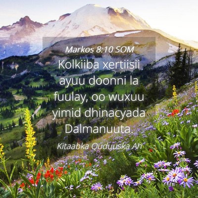 Picture 04 - Markos 8:10 SOM - Kolkiiba xertiisii ayuu doonni la fuulay, oo - Bible Verse Picture