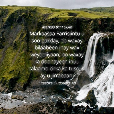 Picture 04 - Markos 8:11 SOM - Markaasaa Farrisiintu u soo baxday, oo waxay - Bible Verse Picture