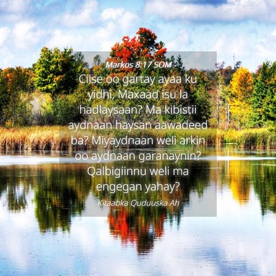 Picture 04 - Markos 8:17 SOM - Ciise oo gartay ayaa ku yidhi, Maxaad isu la - Bible Verse Picture