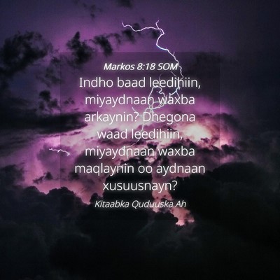 Picture 04 - Markos 8:18 SOM - Indho baad leedihiin, miyaydnaan waxba arkaynin? - Bible Verse Picture