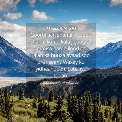 Picture 04 - Markos 8:19 SOM - Goortii aan shantii kibsood shantii kun u kala - Bible Verse Picture