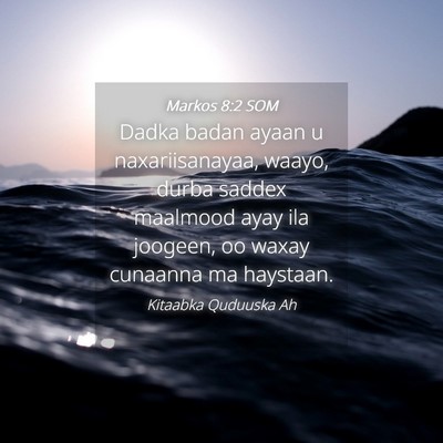 Picture 04 - Markos 8:2 SOM - Dadka badan ayaan u naxariisanayaa, waayo, durba - Bible Verse Picture