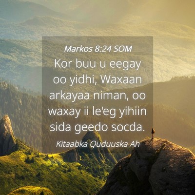 Picture 04 - Markos 8:24 SOM - Kor buu u eegay oo yidhi, Waxaan arkayaa niman, - Bible Verse Picture