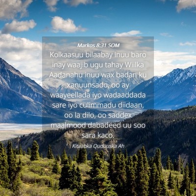 Picture 04 - Markos 8:31 SOM - Kolkaasuu bilaabay inuu baro inay waajib ugu - Bible Verse Picture