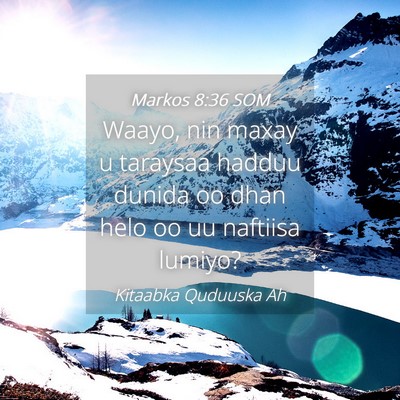 Picture 04 - Markos 8:36 SOM - Waayo, nin maxay u taraysaa hadduu dunida oo dhan - Bible Verse Picture