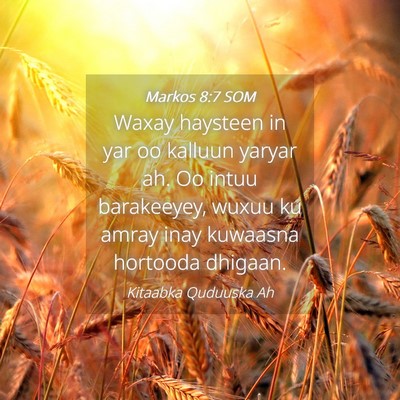Picture 04 - Markos 8:7 SOM - Waxay haysteen in yar oo kalluun yaryar ah. Oo - Bible Verse Picture