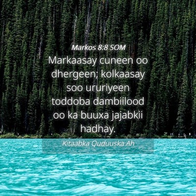 Picture 04 - Markos 8:8 SOM - Markaasay cuneen oo dhergeen; kolkaasay soo - Bible Verse Picture
