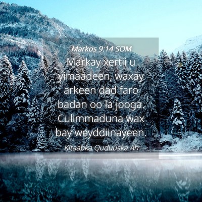 Picture 04 - Markos 9:14 SOM - Markay xertii u yimaadeen, waxay arkeen dad faro - Bible Verse Picture