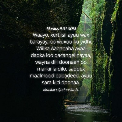 Picture 04 - Markos 9:31 SOM - Waayo, xertiisii ayuu wax barayay, oo wuxuu ku - Bible Verse Picture