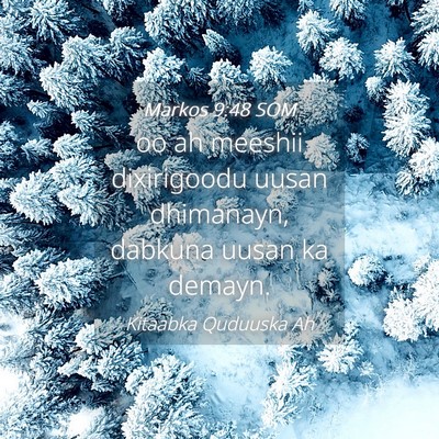 Picture 04 - Markos 9:48 SOM - oo ah meeshii dixirigoodu uusan dhimanayn, - Bible Verse Picture