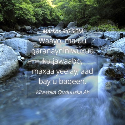 Picture 04 - Markos 9:6 SOM - Waayo, ma uu garanaynin wuxuu ku jawaabo, maxaa - Bible Verse Picture