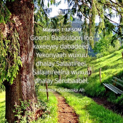 Picture 04 - Matayos 1:12 SOM - Goortii Baabuloon loo kaxeeyey dabadeed, - Bible Verse Picture