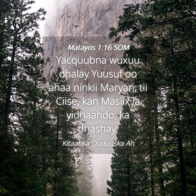 Picture 04 - Matayos 1:16 SOM - Yacquubna wuxuu dhalay Yuusuf oo ahaa ninkii - Bible Verse Picture