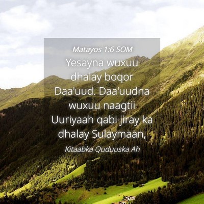 Picture 04 - Matayos 1:6 SOM - Yesayna wuxuu dhalay boqor Daa'uud. Daa'uudna - Bible Verse Picture