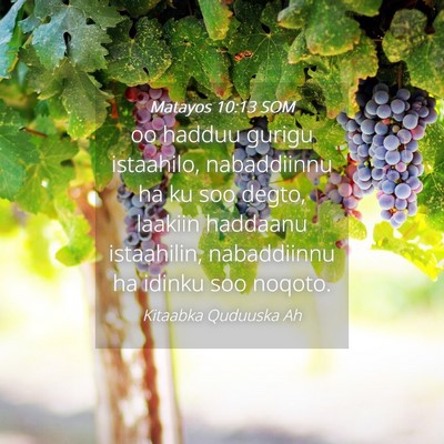 Picture 04 - Matayos 10:13 SOM - oo hadduu gurigu istaahilo, nabaddiinnu ha ku soo - Bible Verse Picture