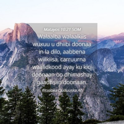 Picture 04 - Matayos 10:21 SOM - Walaalba walaalkiis wuxuu u dhiibi doonaa in la - Bible Verse Picture