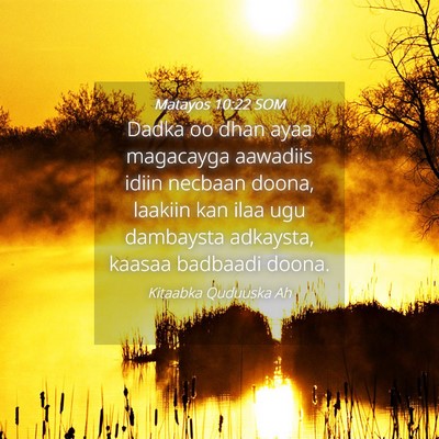 Picture 04 - Matayos 10:22 SOM - Dadka oo dhan ayaa magacayga aawadiis idiin - Bible Verse Picture