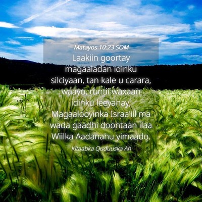 Picture 04 - Matayos 10:23 SOM - Laakiin goortay magaaladan idinku silciyaan, tan - Bible Verse Picture