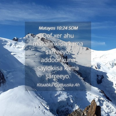 Picture 04 - Matayos 10:24 SOM - Qof xer ahu macallinkiisa kama sarreeyo, - Bible Verse Picture