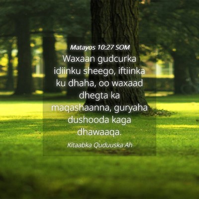 Picture 04 - Matayos 10:27 SOM - Waxaan gudcurka idiinku sheego, iftiinka ku - Bible Verse Picture