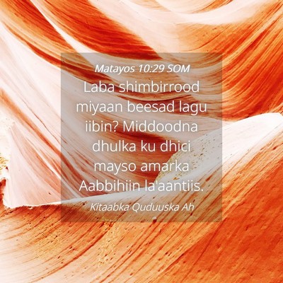 Picture 04 - Matayos 10:29 SOM - Laba shimbirrood miyaan beesad lagu iibin? - Bible Verse Picture
