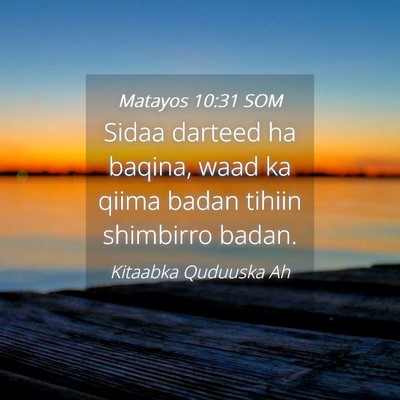 Picture 04 - Matayos 10:31 SOM - Sidaa darteed ha baqina, waad ka qiima badan - Bible Verse Picture