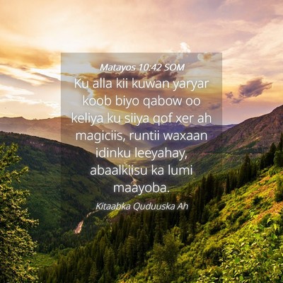 Picture 04 - Matayos 10:42 SOM - Ku alla kii kuwan yaryar koob biyo qabow oo - Bible Verse Picture
