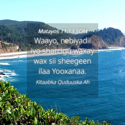 Picture 04 - Matayos 11:13 SOM - Waayo, nebiyadii iyo sharcigu waxay wax sii - Bible Verse Picture