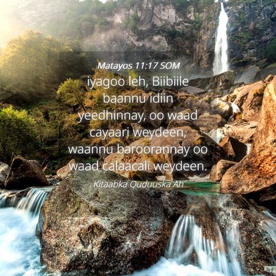 Picture 04 - Matayos 11:17 SOM - iyagoo leh, Biibiile baannu idiin yeedhinnay, oo - Bible Verse Picture