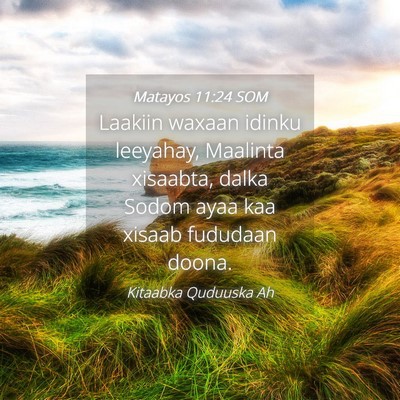 Picture 04 - Matayos 11:24 SOM - Laakiin waxaan idinku leeyahay, Maalinta - Bible Verse Picture