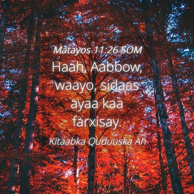 Picture 04 - Matayos 11:26 SOM - Haah, Aabbow, waayo, sidaas ayaa kaa - Bible Verse Picture