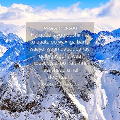 Picture 04 - Matayos 11:29 SOM - Harqoodkayga dushiinna ku qaata oo wax iga barta; - Bible Verse Picture