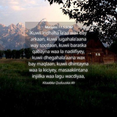 Picture 04 - Matayos 11:5 SOM - Kuwii indhaha la'aa wax bay arkaan, kuwii - Bible Verse Picture