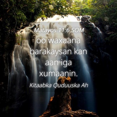 Picture 04 - Matayos 11:6 SOM - oo waxaana barakaysan kan aan iga - Bible Verse Picture