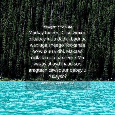Picture 04 - Matayos 11:7 SOM - Markay tageen, Ciise wuxuu bilaabay inuu dadkii - Bible Verse Picture