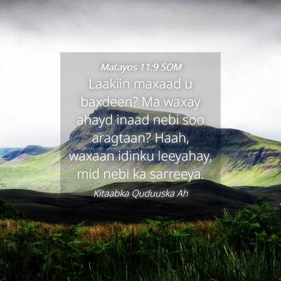Picture 04 - Matayos 11:9 SOM - Laakiin maxaad u baxdeen? Ma waxay ahayd inaad - Bible Verse Picture