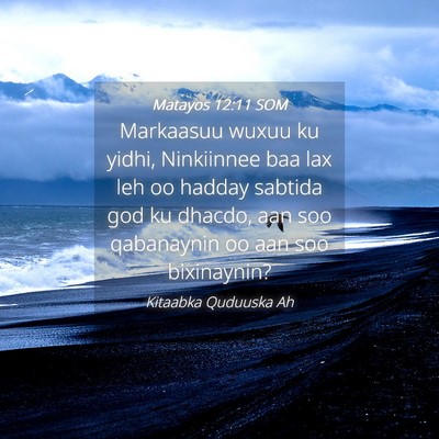 Picture 04 - Matayos 12:11 SOM - Markaasuu wuxuu ku yidhi, Ninkiinnee baa lax leh - Bible Verse Picture