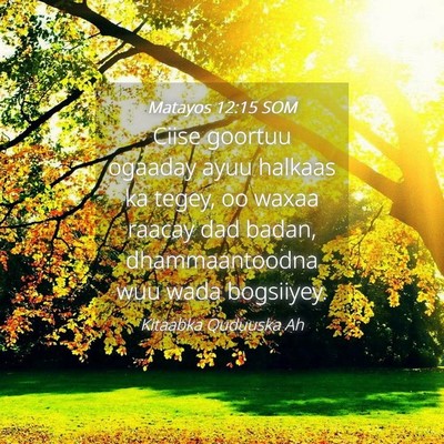 Picture 04 - Matayos 12:15 SOM - Ciise goortuu ogaaday ayuu halkaas ka tegey, oo - Bible Verse Picture