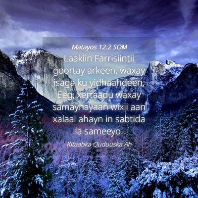 Picture 04 - Matayos 12:2 SOM - Laakiin Farrisiintii goortay arkeen, waxay isaga - Bible Verse Picture