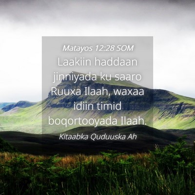 Picture 04 - Matayos 12:28 SOM - Laakiin haddaan jinniyada ku saaro Ruuxa Ilaah, - Bible Verse Picture